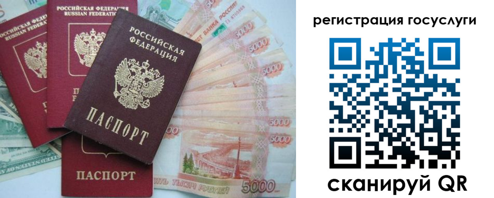 прописка иностранных граждан в ЕАО